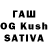 Галлюциногенные грибы GOLDEN TEACHER White_ShuXEP
